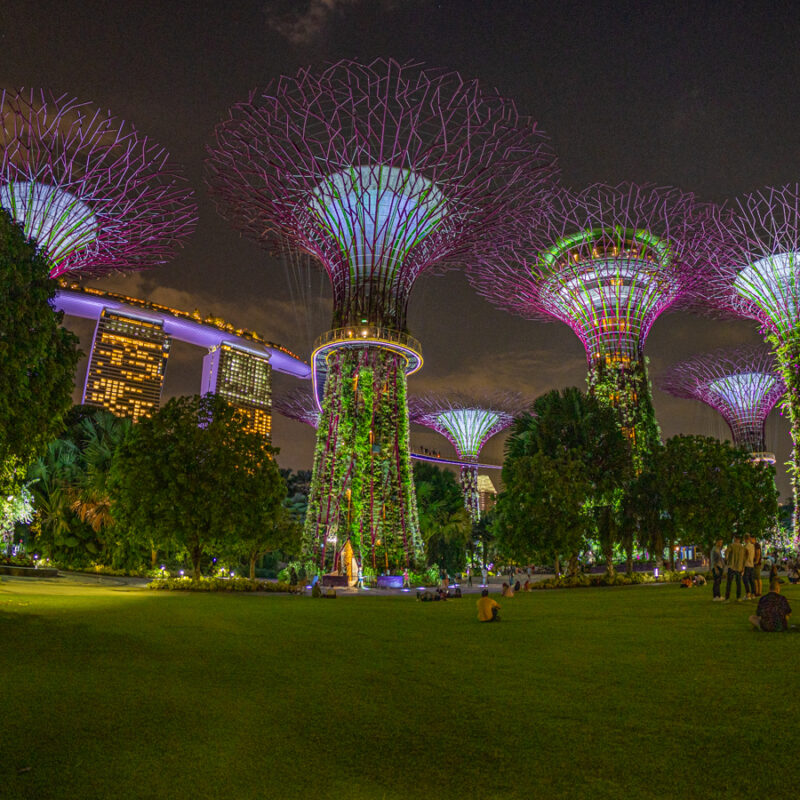 Supertrees, Gardens by the Bay, Singapur