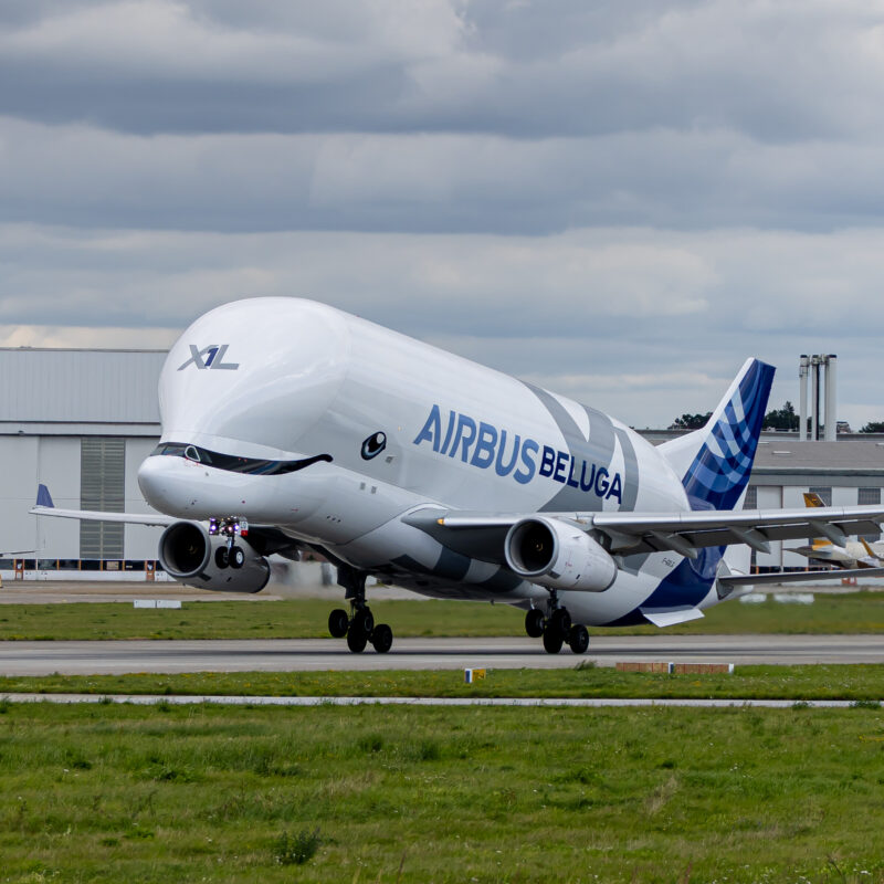 Beluga am Airbus-Flughafen Finkenwerder, Deutschland