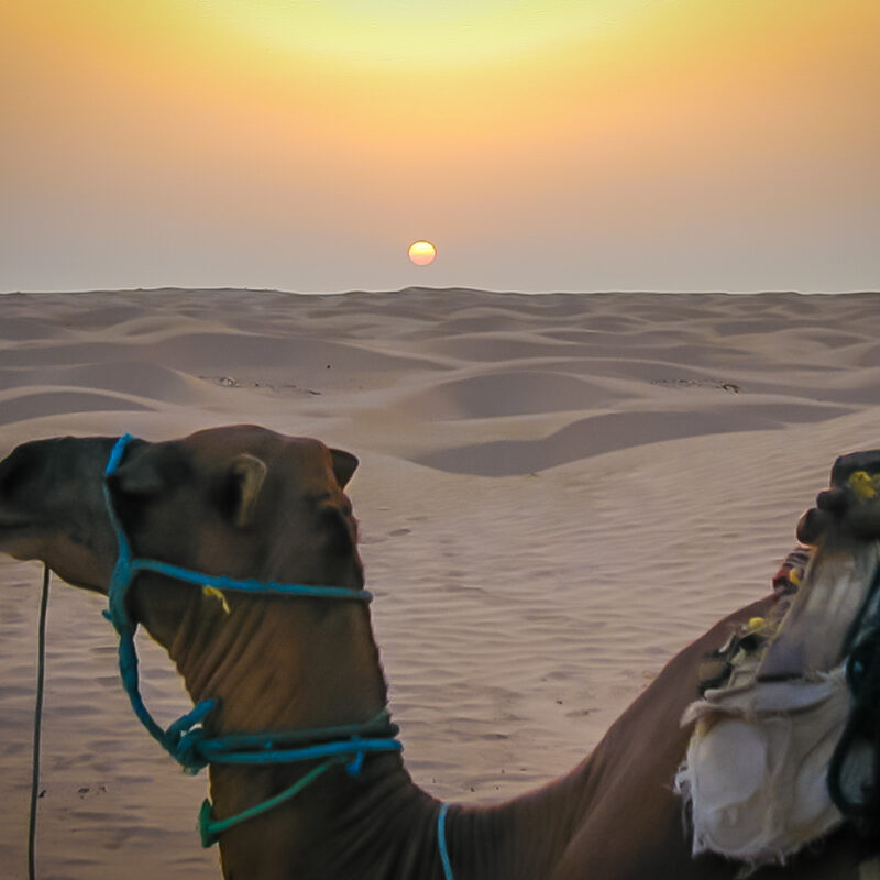 Sahara Desert, Tunisia